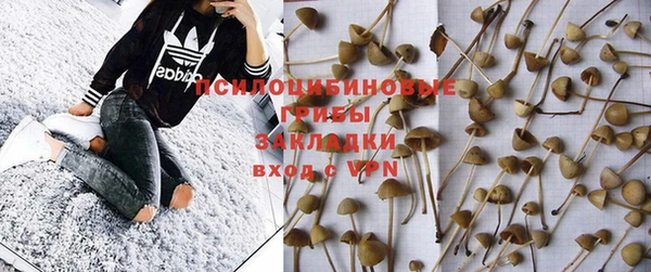таблы Кодинск