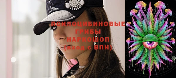 дживик Корсаков