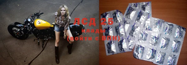 дживик Корсаков