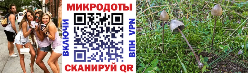 Галлюциногенные грибы ЛСД  Коммунар 