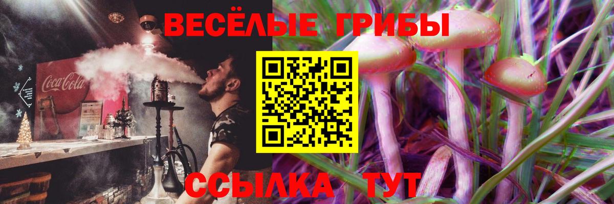 Псилоцибиновые грибы GOLDEN TEACHER  Вход с VPN  Коммунар  Галлюциногенные грибы мицелий 