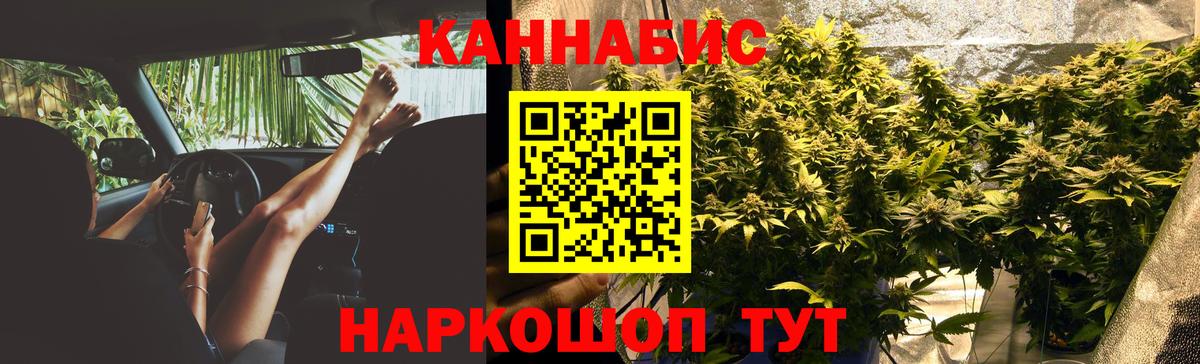 Шишки марихуана планчик  МАРИХУАНА Bruce Banner  Бошки марихуана сатива  Вход с VPN  Конопля ГИДРОПОН  Коммунар 